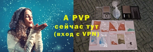 apvp Богородск