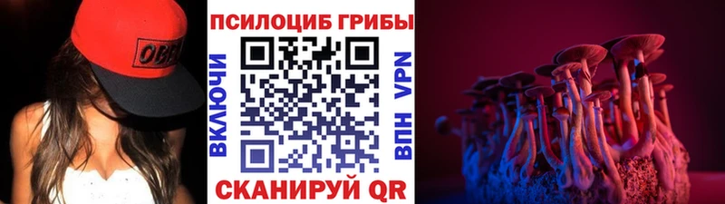 Псилоцибиновые грибы мухоморы  Гремячинск 